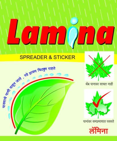 lamina